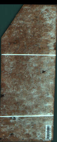 Agana s pegami, 2,1840