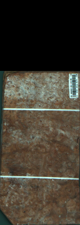 Agana s pegami, 1,5456