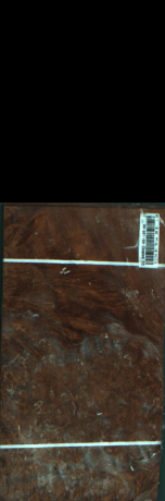 Agana s pegami, 1,2800