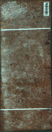 Agana s pegami, 2,4656