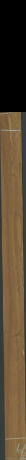 Teak, 9,6000