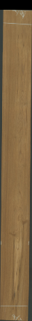 Teak, 23,8080