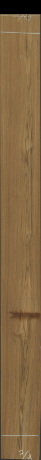 Teak, 23,0400