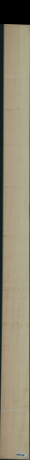 Явор ивичест, 22,1920