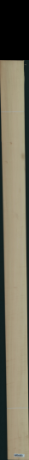 javor rýglový, 17,1520
