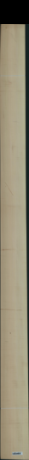 javor rýglový, 22,1920