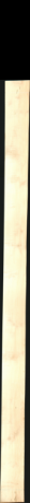 Sladkorni javor, 24,1920