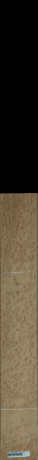 Javor-ptičje oko, 2,6250