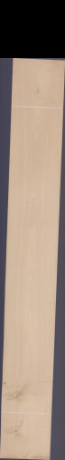 Weathered Sycamore, 36.9600