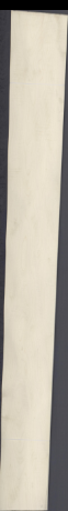 javor rýglový, 17,1720