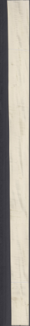 Javor rebraš, 10,1760