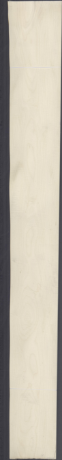 Jawor rygiel, 17,1720