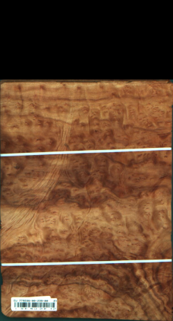 Cynamonowiec kamforowy, 4,2688