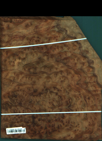 Cynamonowiec kamforowy, 6,1074