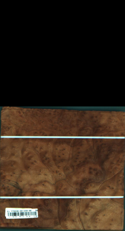 Cynamonowiec kamforowy, 2,9667
