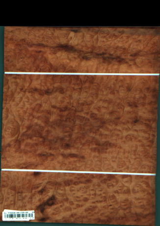 Cynamonowiec kamforowy, 3,4884