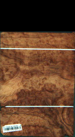 Cynamonowiec kamforowy, 2,2560
