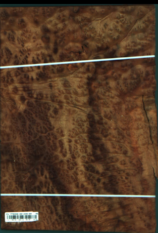 Cynamonowiec kamforowy, 8,2080