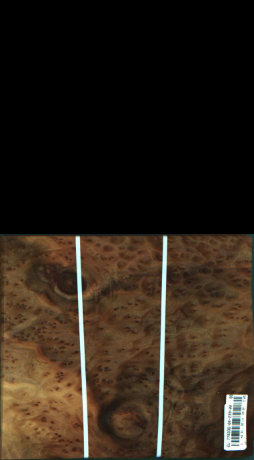 Cynamonowiec kamforowy, 3,6540