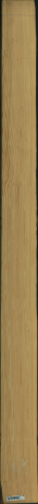 borovice karolina, 16,1280