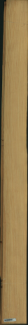 borovice karolina, 17,0240