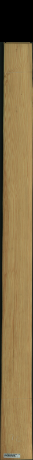 borovice karolina, 13,0560