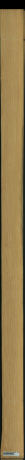 borovice karolina, 10,5600