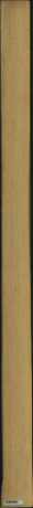 borovice karolina, 13,4400