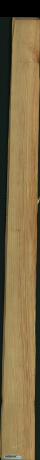 borovice karolina, 14,6880