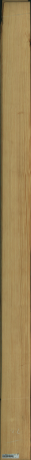 borovice karolina, 14,3360