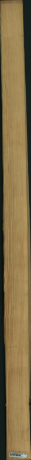 borovice karolina, 12,5440