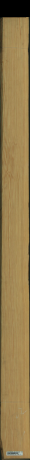 borovice karolina, 12,9600
