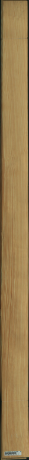 borovice karolina, 12,5440