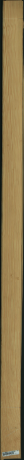 borovice karolina, 9,8560