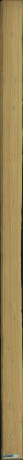 borovice karolina, 11,5200