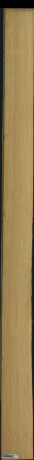 borovice karolina, 16,0480