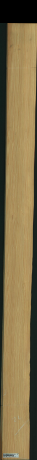 borovice karolina, 13,6800