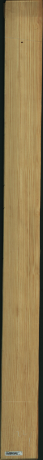 Carolina Pine, 18,2400