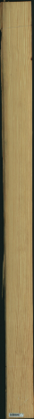 Carolina Pine, 15,5040