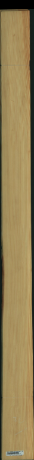 Carolina Pine, 12,9600