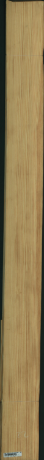 Carolina Pine, 16,7200