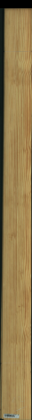 Carolina Pine, 14,6880