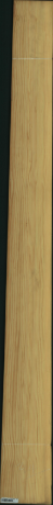 borovice karolina, 22,0800