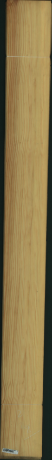 borovice karolina, 23,0400