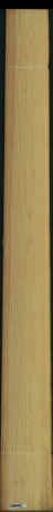 borovice karolina, 22,6560