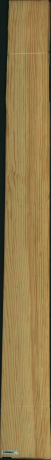 borovice karolina, 24,9600