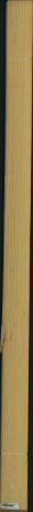 borovice karolina, 13,4400