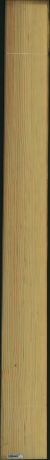 Pinus Echinata, 24,0000