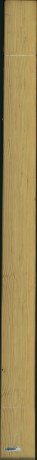 borovice karolina, 18,2400
