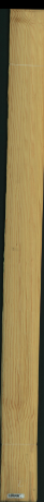 borovice karolina, 18,8800
